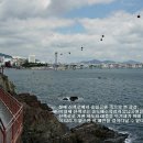송도해상케이블카 이미지