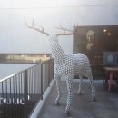 부크(BUUC) | 일광카페 부크(buuc)