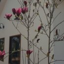 달팽이하우스 이미지