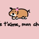 쥬뗌몽슈 이미지