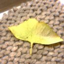 시월오일 PC방 | 수능이 끝나고 난 뒤