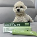 덴탈버디 이미지