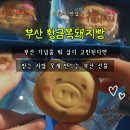 복돼지 | 부산 기념품 추천 고민 끝! 부산 여행 선물로 딱 좋은 부산황금복돼지빵 후기