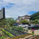 푸른가든 | 경주 강아지동반 고깃집🐾 산내 힐링맛집 암소 푸른가든 솔직후기