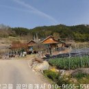 곡성-102 티스토리
