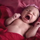 전치 앞(1) 이미지