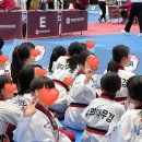 K타이거즈 서천태권도｜용인특례시 태권도대회 참가 후기🥋