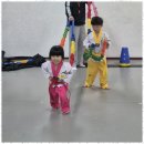 태성태권도 이미지