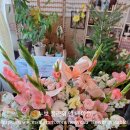 개항동행정복지센터 이미지