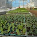 바우농장2 이미지