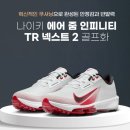 넥스트골프 | 나이키 에어 줌 인피니티 투어 넥스트 골프화 후기｜스윙 안정성 끝판왕