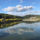 안동영가찜닭 이미지