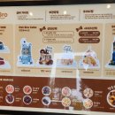 펫브로(Pet Bro) 이미지