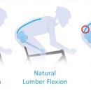 움직임퍼스널트레이닝 이미지