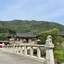 백제 첫 절 영광 불갑사 (33 기도순례 13차)
