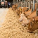 자연촌식당 이미지