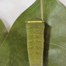 2025.6/15.일ㅡ청띠제비나비 5령 애벌레의 기문ㅡ애벌레 길이 4cm 이미지