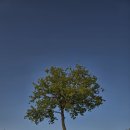 호숫가 여명, 호숫가 물멍, 호숫가 운명 이미지