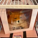 엠지엠지MGMG)엠지엠지MGMG