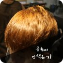 엔헤어 - 안성시 대학6길 10 | 엔헤어