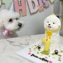 이야(YIYA) 이미지