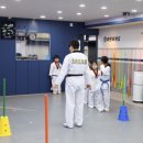 진영라온태권도장 이미지