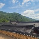 [2024 금정인문아카데미] 박지선 교수 특강 현대사회의 이상심리와 범죄 | 내일로가는 일기장, 갑진년 하반기 스타트 사업자내서 사장님이에요, 차량도 구매했지요