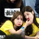 내이처럼 Daum카페