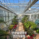 안산 식물원 | 안산 실내여행 무료입장 온실 안산식물원