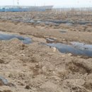 을해농장 이미지