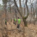 자연보호헌장기념비 이미지