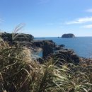 제주 서귀포 외돌개 이미지