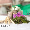 금암농장 이미지