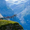 플로라민박 이미지