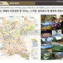 마이애미정선 이미지