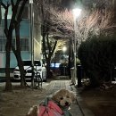 송호생고기 이미지
