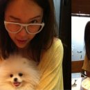 애견사랑 이미지