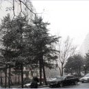 신갈마로-2 이미지