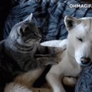 드림안마시술소 이미지