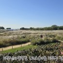 월드컵경기장 3가 2 이미지