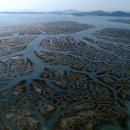 수라국제