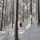 통나무펜션&편백쉼터 이미지