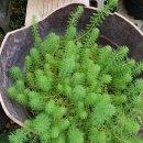 정근농장 이미지