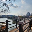 평택호1길 이미지