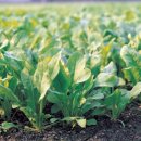 무지개메디칼 이미지