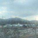 두레로 | 식물에 빠진 식린이의 과천화훼단지 다녀온 후기_매장 시간, 뚜벅이,농원추천