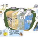 문화정화조