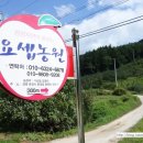 요셉사과농원