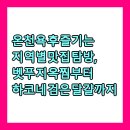 양천구 지역명소 탐방코스 7 | 온천욕 후 즐기는 지역별 맛집 탐방, 벳푸 지옥찜부터 하코네 검은 달걀까지