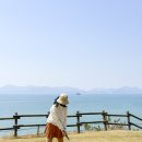 2098 | 알콘 프리시전 원 난시 렌즈 체험 후기 및 이벤트